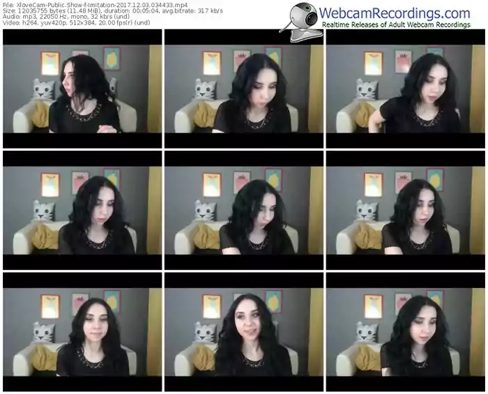 xlovecam-imitation-webcam-show-12_03_2017-03_44_33