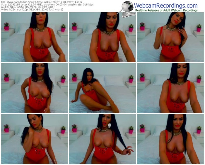 xlovecam-roselinahot-webcam-show-12_04_2017-23_20_14
