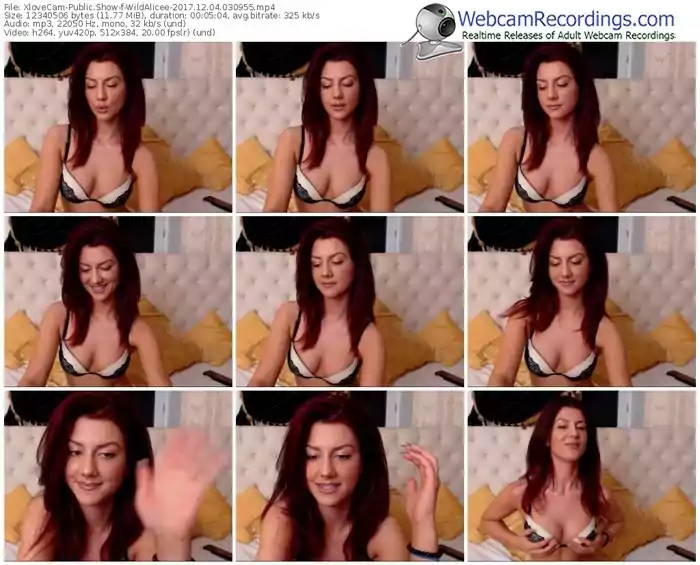 xlovecam-wildalicee-webcam-show-12_04_2017-03_09_55