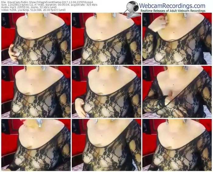 xlovecam-magnificentdame-webcam-show-12_06_2017-22_55_59