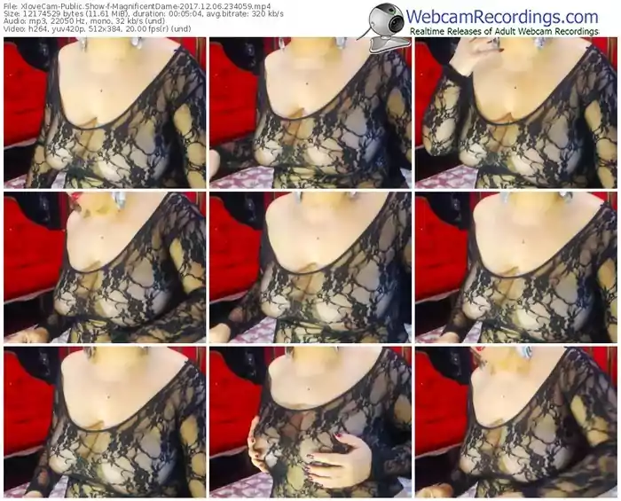 xlovecam-magnificentdame-webcam-show-12_06_2017-23_40_59