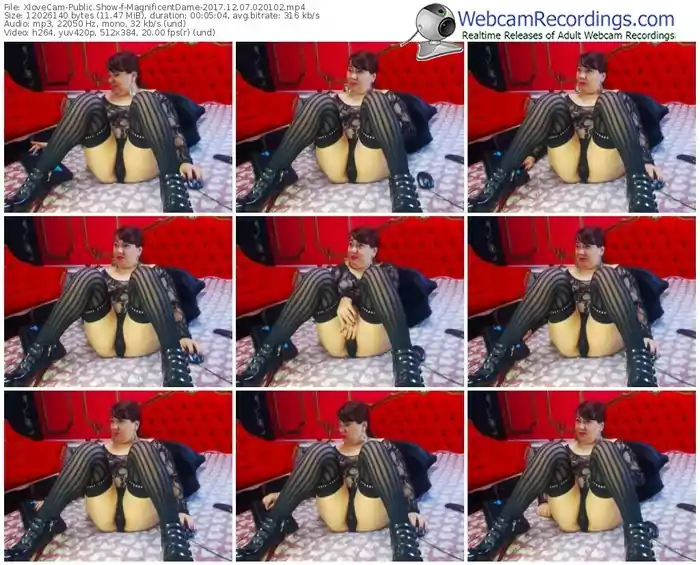 xlovecam-magnificentdame-webcam-show-12_07_2017-02_01_02