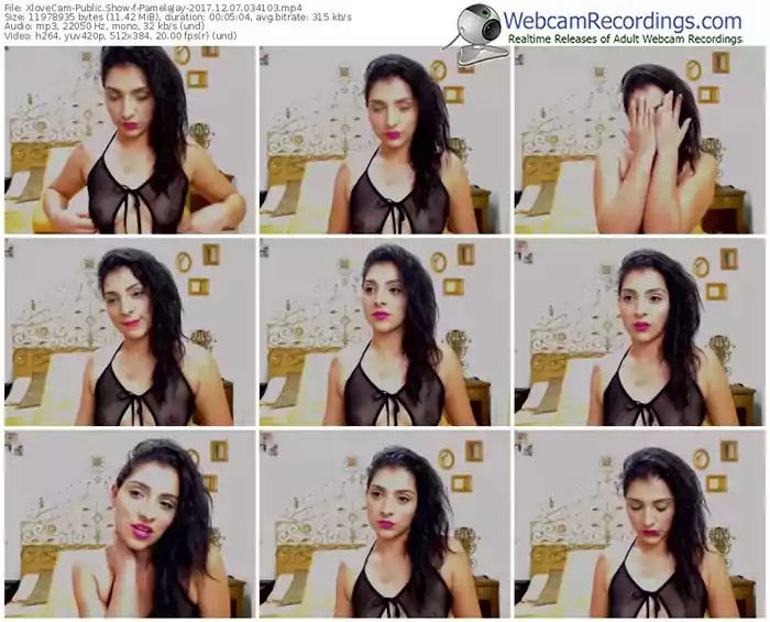 xlovecam-pamelajay-webcam-show-12_07_2017-03_41_03