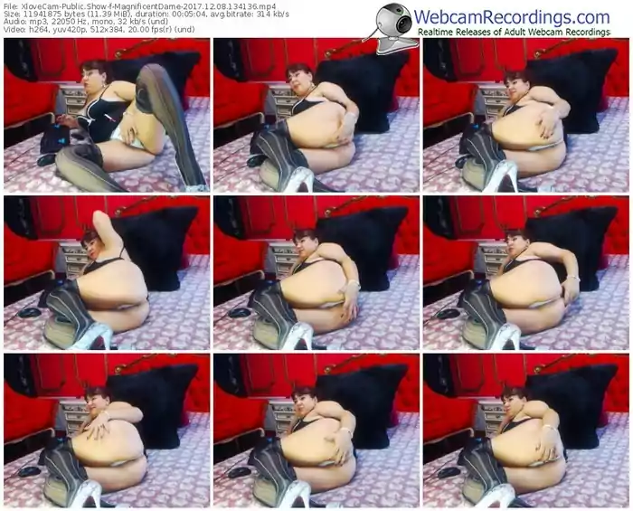 xlovecam-magnificentdame-webcam-show-12_08_2017-13_41_36