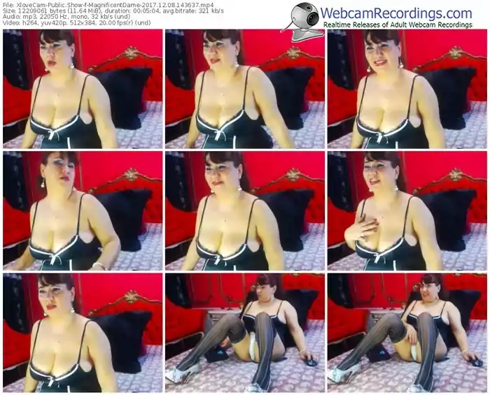 xlovecam-magnificentdame-webcam-show-12_08_2017-14_36_37