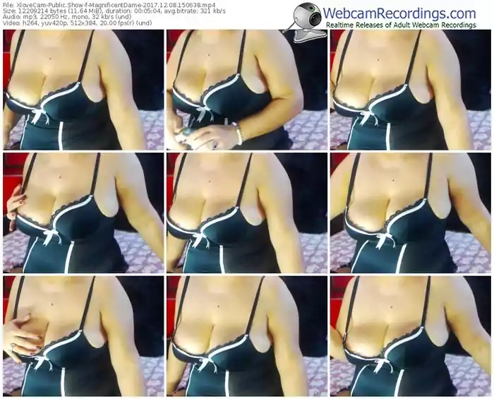 xlovecam-magnificentdame-webcam-show-12_08_2017-15_06_38