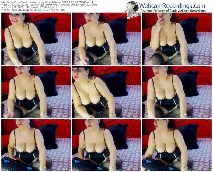 xlovecam-magnificentdame-webcam-show-12_08_2017-17_56_41