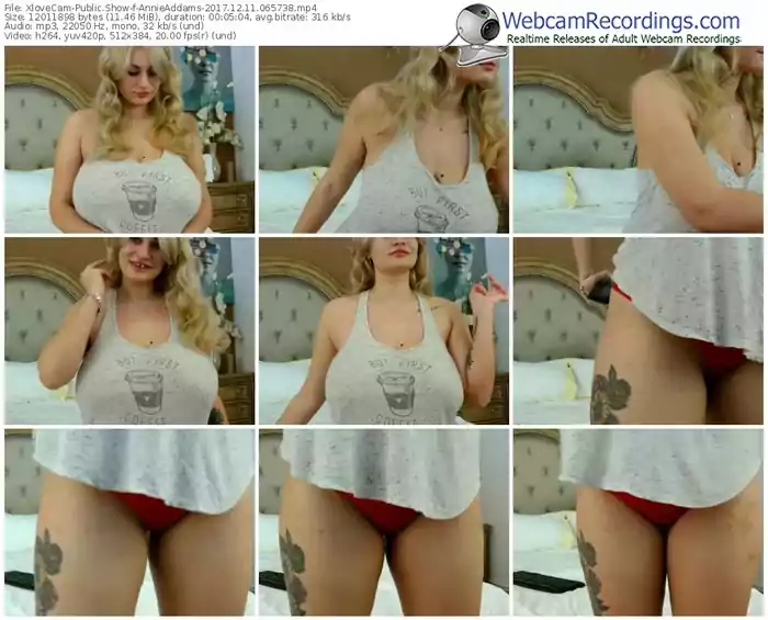 xlovecam-annieaddams-webcam-show-12_11_2017-06_57_38
