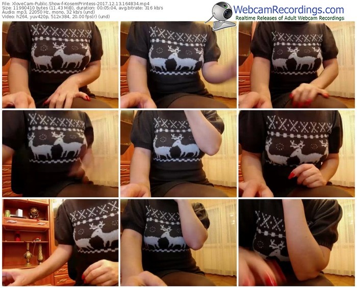 xlovecam-kosemprintess-webcam-show-12_13_2017-16_48_34
