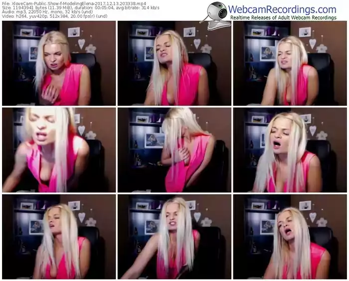 xlovecam-modelingelena-webcam-show-12_13_2017-20_33_38