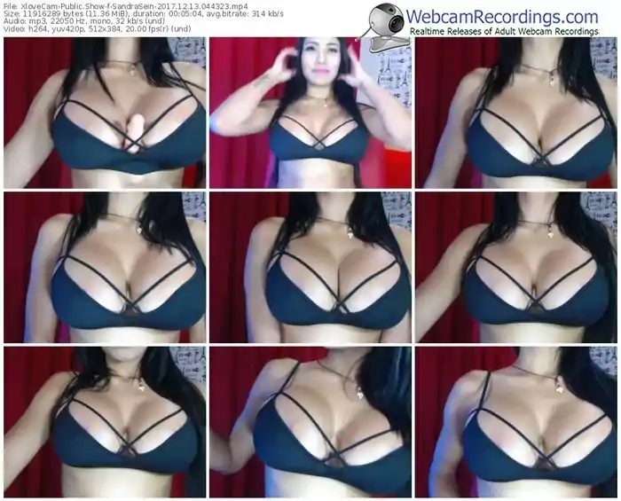 xlovecam-sandrasein-webcam-show-12_13_2017-04_43_23