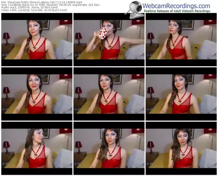xlovecam-ladyjoy-webcam-show-12_14_2017-14_28_56