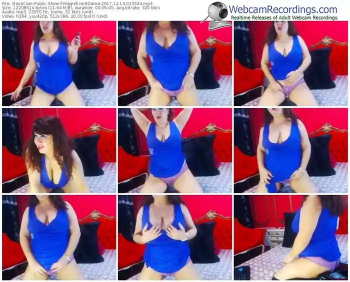 xlovecam-magnificentdame-webcam-show-12_14_2017-02_33_44