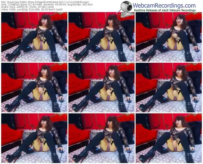 xlovecam-magnificentdame-webcam-show-12_14_2017-03_28_45