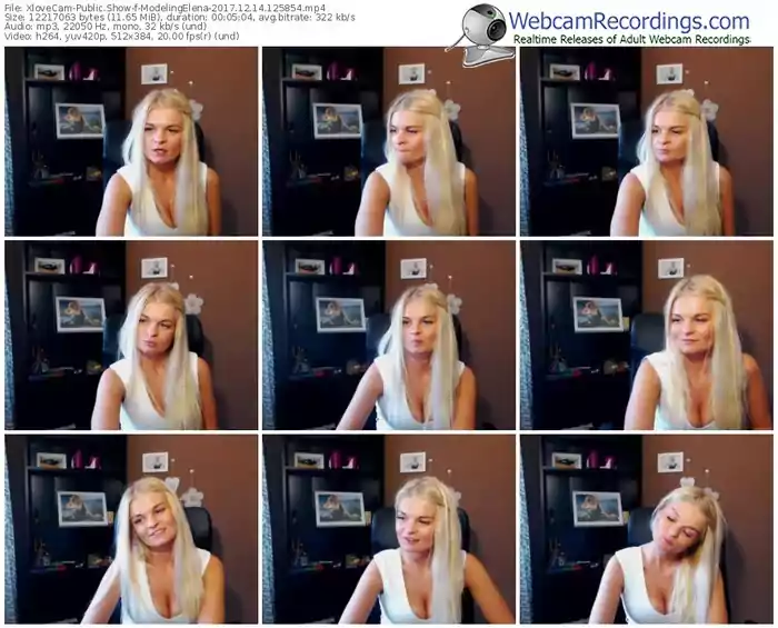 xlovecam-modelingelena-webcam-show-12_14_2017-12_58_54