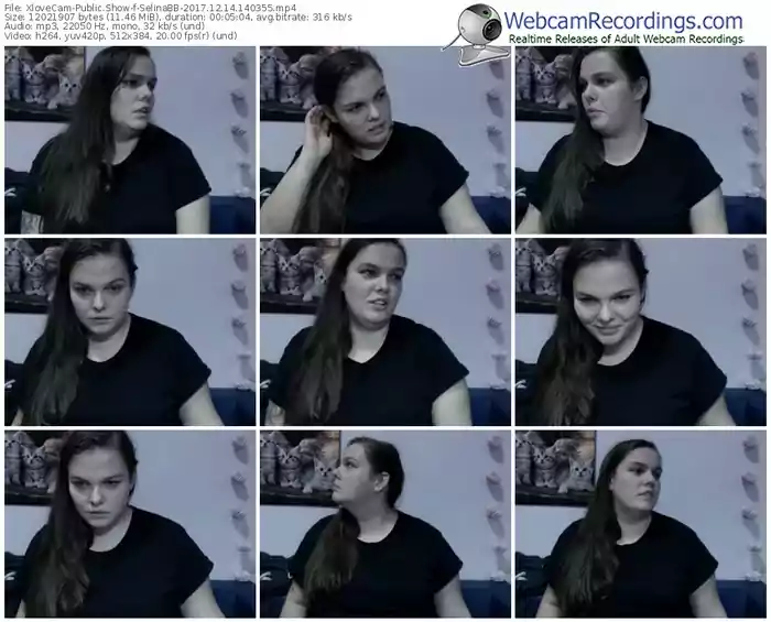 xlovecam-selinabb-webcam-show-12_14_2017-14_03_55