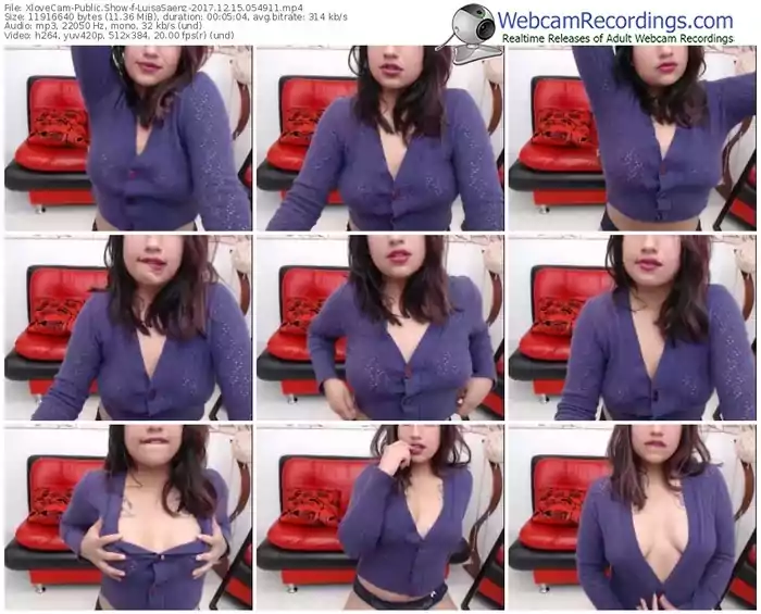 xlovecam-luisasaenz-webcam-show-12_15_2017-05_49_11