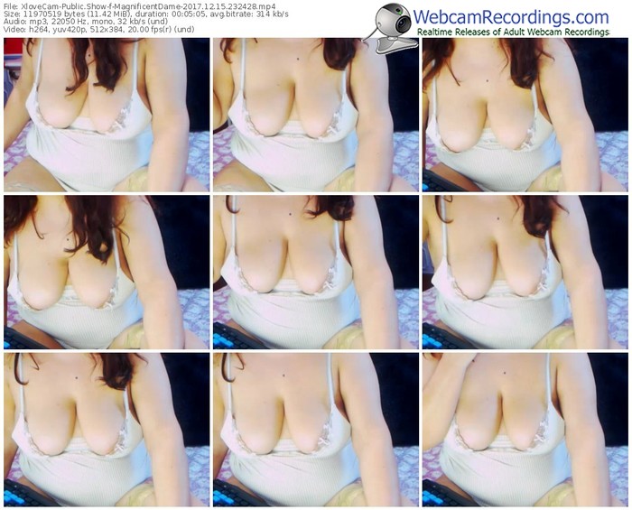 xlovecam-magnificentdame-webcam-show-12_15_2017-23_24_28