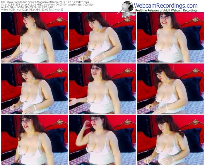 xlovecam-magnificentdame-webcam-show-12_15_2017-23_34_28
