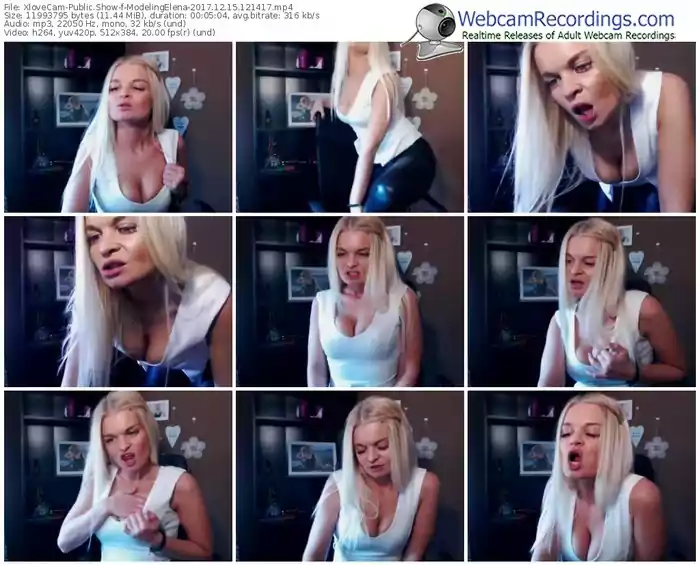 xlovecam-modelingelena-webcam-show-12_15_2017-12_14_17