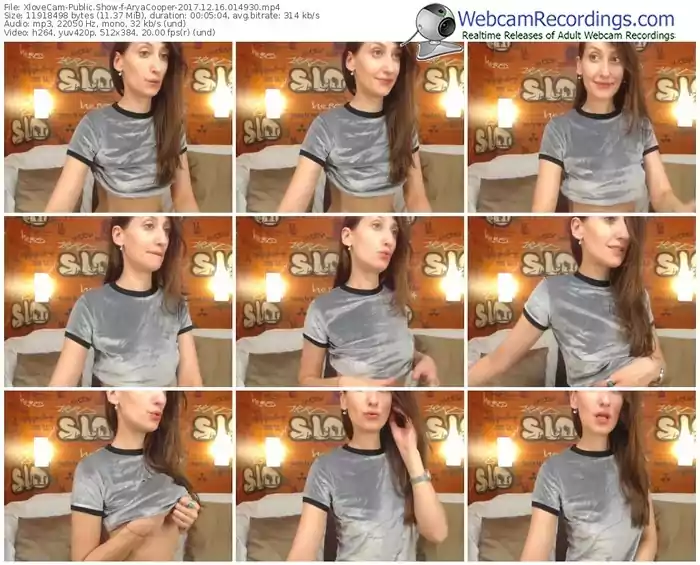 xlovecam-aryacooper-webcam-show-12_16_2017-01_49_30