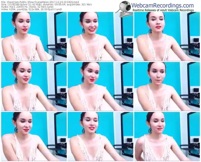 xlovecam-lenameier-webcam-show-12_16_2017-01_04_29