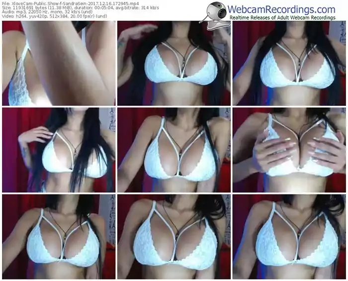 xlovecam-sandrasein-webcam-show-12_16_2017-17_29_45