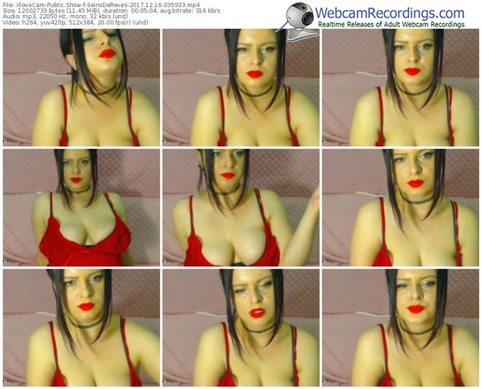 xlovecam-seinsdereves-webcam-show-12_16_2017-03_59_33