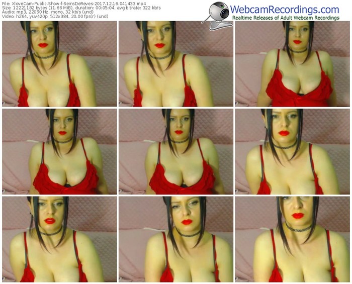 xlovecam-seinsdereves-webcam-show-12_16_2017-04_14_33