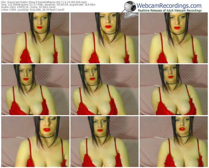 xlovecam-seinsdereves-webcam-show-12_16_2017-05_14_34