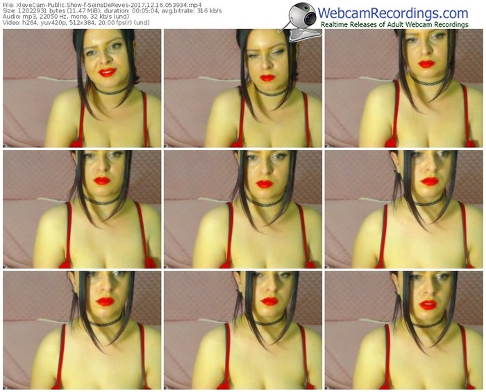 xlovecam-seinsdereves-webcam-show-12_16_2017-05_39_34