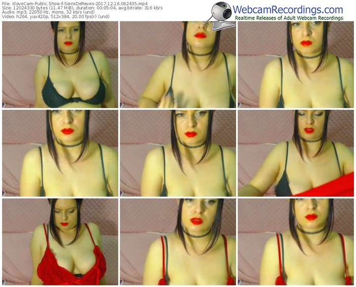xlovecam-seinsdereves-webcam-show-12_16_2017-06_24_35