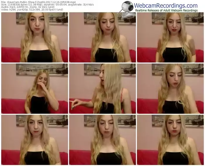 xlovecam-zoe69-webcam-show-12_16_2017-09_59_38