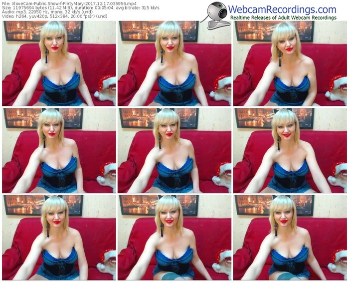 xlovecam-flirtymary-webcam-show-12_17_2017-03_59_56