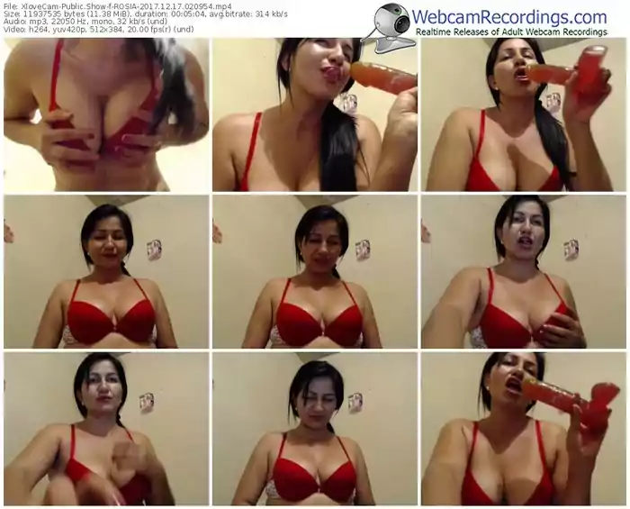 xlovecam-rosia-webcam-show-12_17_2017-02_09_54