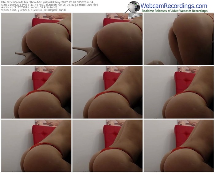 xlovecam-brunettehotsexy-webcam-show-12_18_2017-08_55_23