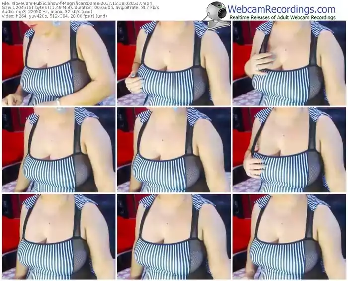 xlovecam-magnificentdame-webcam-show-12_18_2017-02_05_17