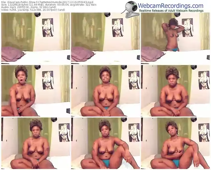 xlovecam-chattenoirhumide-webcam-show-12_19_2017-05_50_43