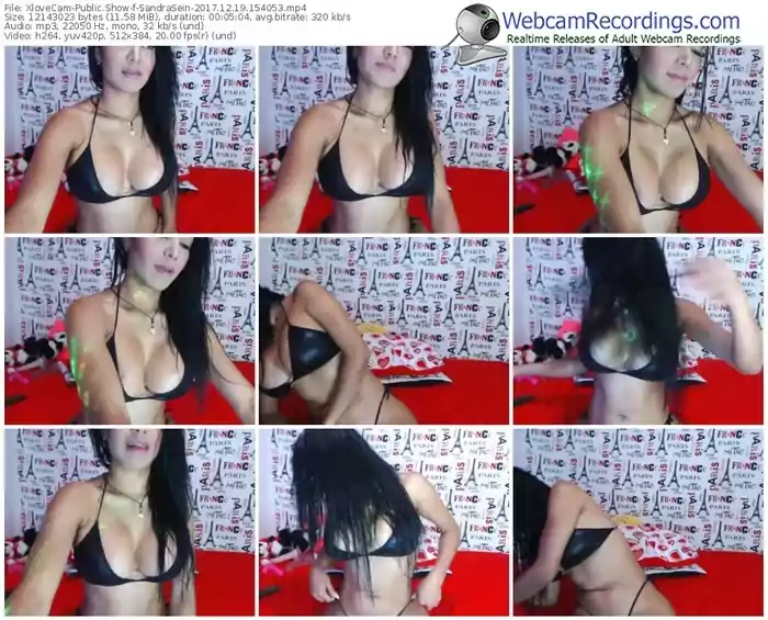 xlovecam-sandrasein-webcam-show-12_19_2017-15_40_53