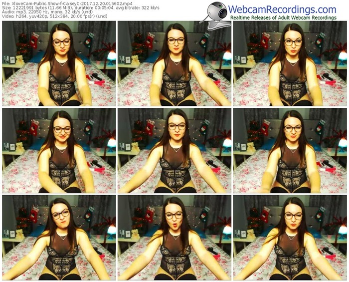 xlovecam-caiseyc-webcam-show-12_20_2017-01_56_02