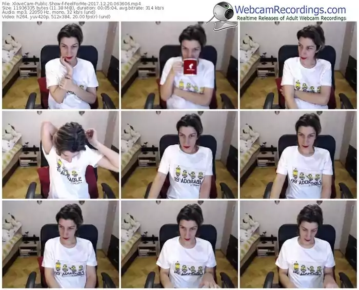 xlovecam-feelforme-webcam-show-12_20_2017-06_36_06