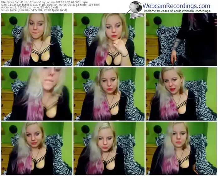 xlovecam-greylarissa-webcam-show-12_20_2017-01_06_01