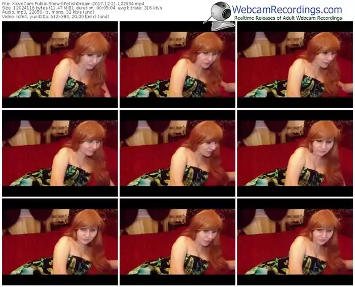 xlovecam-fetishdream-webcam-show-12_21_2017-12_26_34