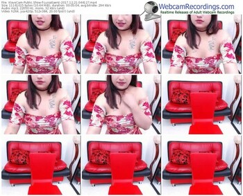 xlovecam-luisasaenz-webcam-show-12_21_2017-04_41_27