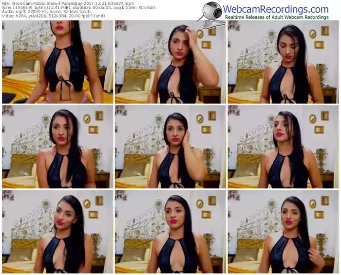 xlovecam-pamelajay-webcam-show-12_21_2017-03_56_27