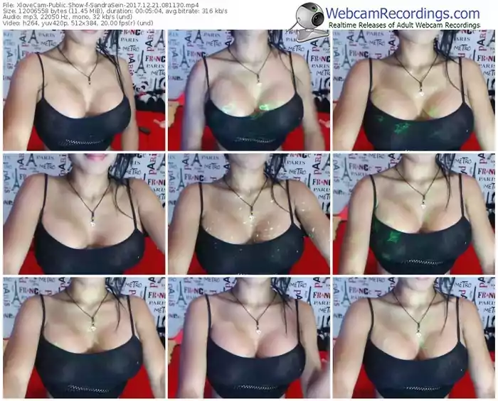 xlovecam-sandrasein-webcam-show-12_21_2017-08_11_30