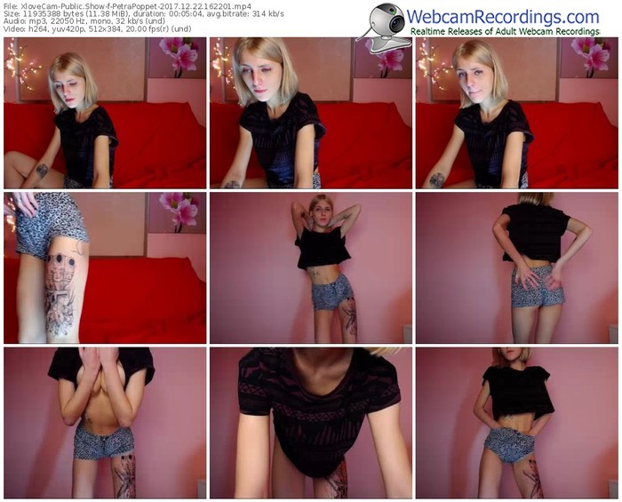 xlovecam-petrapoppet-webcam-show-12_22_2017-16_22_01