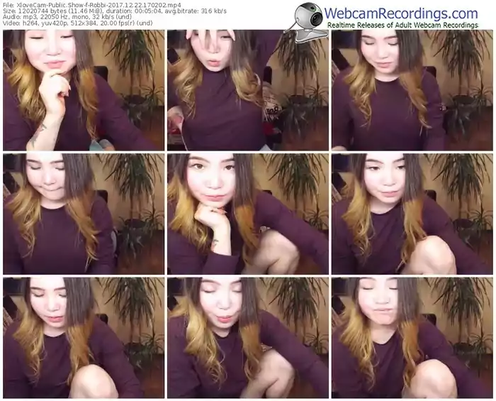 xlovecam-robbi-webcam-show-12_22_2017-17_02_02