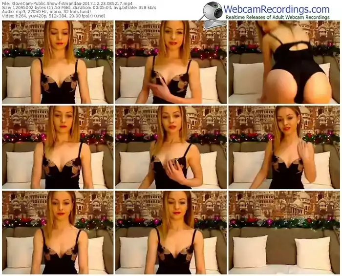 xlovecam-amandaa-webcam-show-12_23_2017-08_52_17