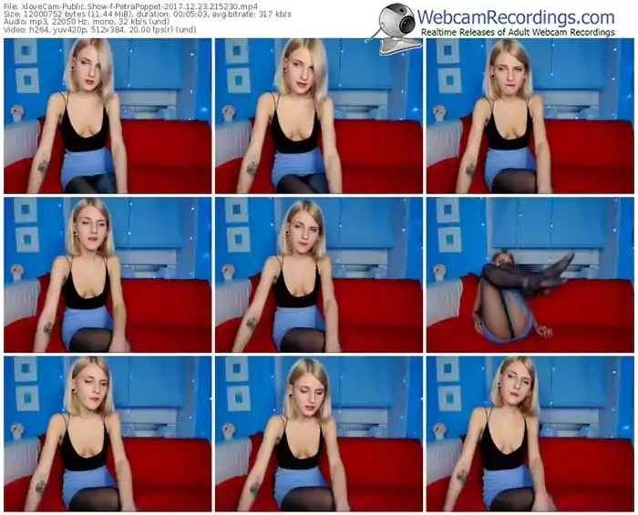 xlovecam-petrapoppet-webcam-show-12_23_2017-21_52_30